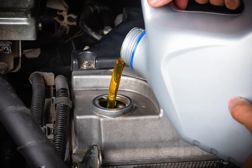 What Oil Is Right For You Part Two